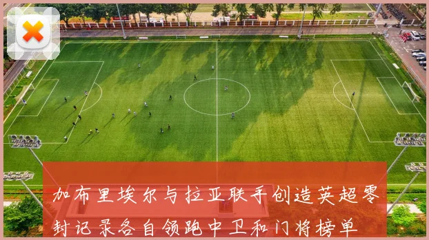 加布里埃尔与拉亚联手创造英超零封记录各自领跑中卫和门将榜单