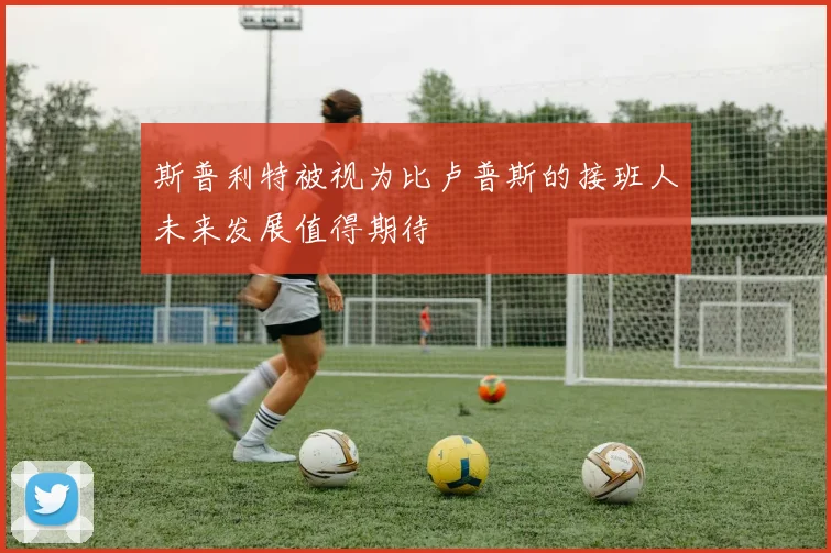 斯普利特被视为比卢普斯的接班人未来发展值得期待